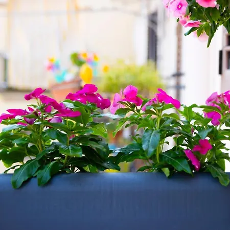 Pozzillo Appartament -near The Cathedral *