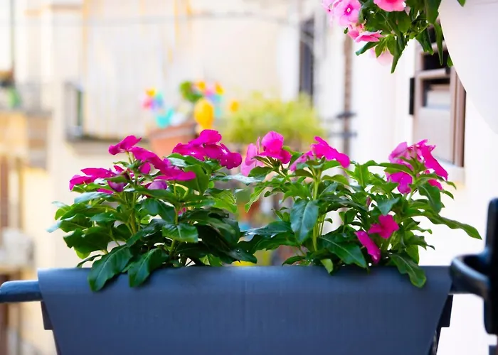 Pozzillo Appartament -near The Cathedral *